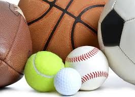 林泓育赛季贡献