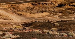 达米安破门 国米客场一球小胜威尼斯